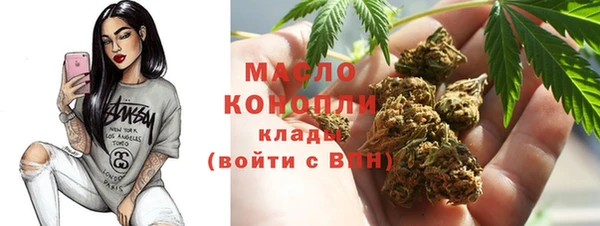 спиды Ельня
