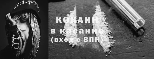 спиды Ельня