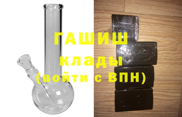 спиды Ельня