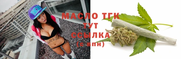 спиды Ельня