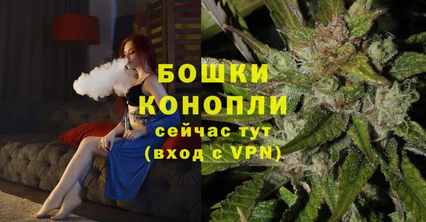 спиды Ельня