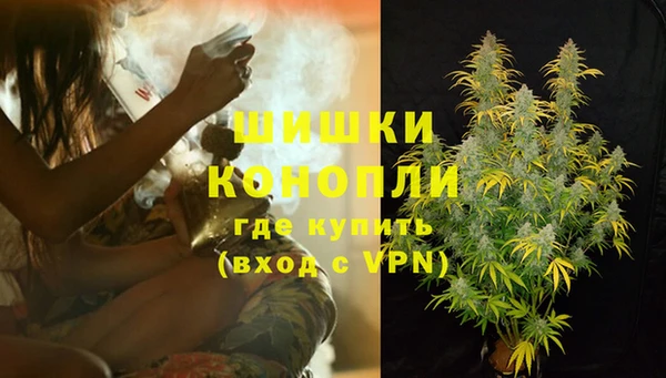 спиды Ельня