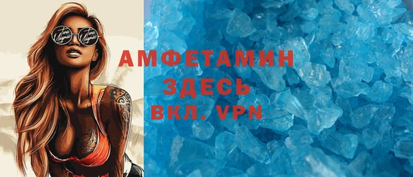 спиды Ельня