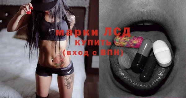 спиды Ельня