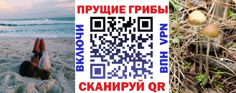 Псилоцибиновые грибы GOLDEN TEACHER  Купить где  Сегежа 